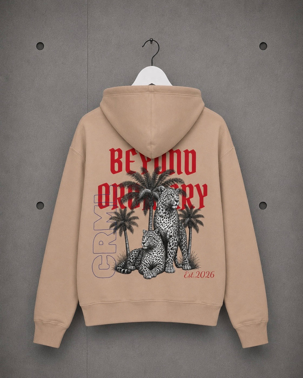 Hoodie — "Beyond Ordinary"