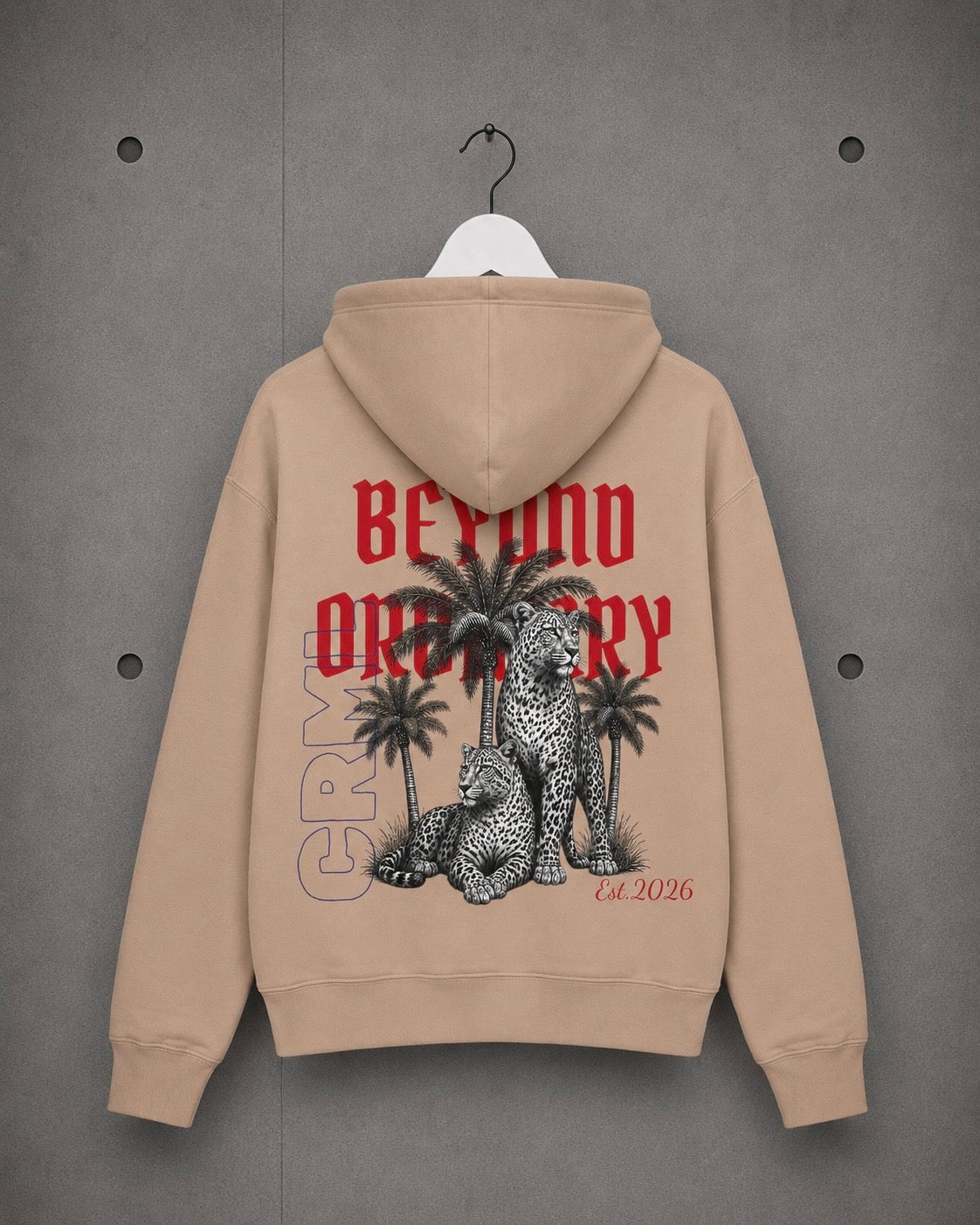 Hoodie — "Beyond Ordinary"
