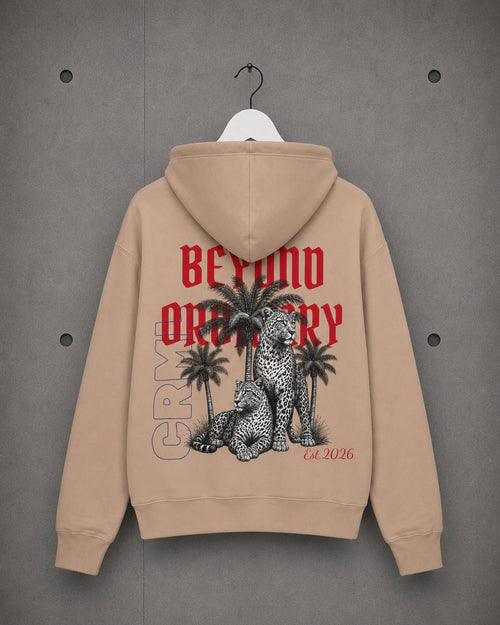 Hoodie — "Beyond Ordinary"